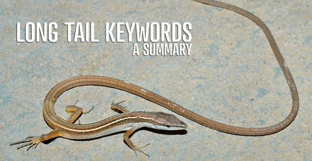 Long Tail Keywords Lizard