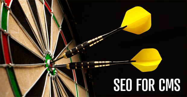 SEO for CMS