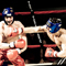 7 Ways Agility CMS Beats Wordpress